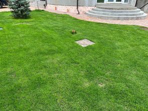 Люк под брусчатку Брус Ли AISI 304 Люк под брусчатку Брус Ли AISI 304